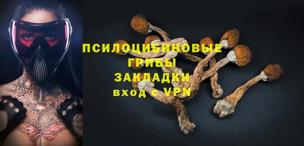 хмурый Алзамай