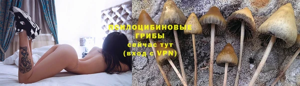 амфетамин Алексеевка
