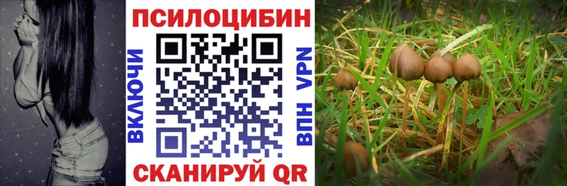Псилоцибиновые грибы мицелий  Красноуральск 